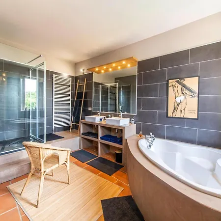 Mansion With Swimming Pool Σπίτι διακοπών Buzet-sur-Tarn